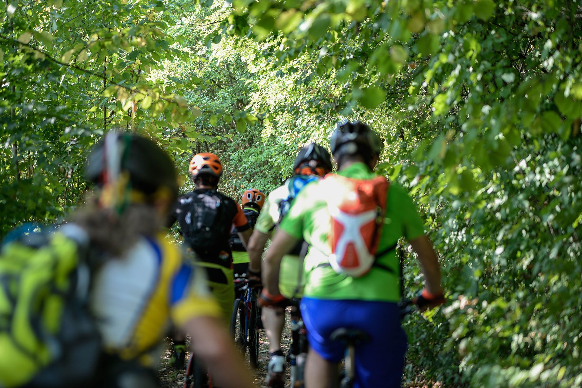 Pedalare in Monferrato