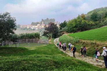 Il Monferrato dei Castelli Bruciati